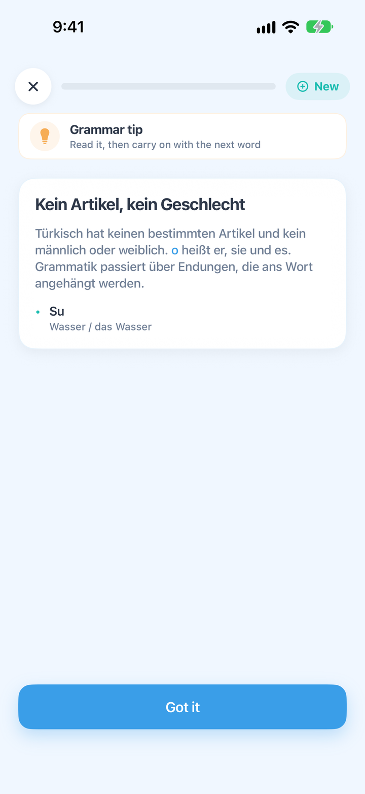 Ein Grammatik-Hinweis zu Türkisch in CrewLingo