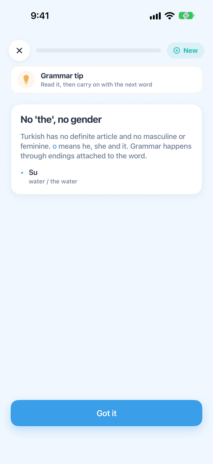 A Turkish grammar tip in CrewLingo